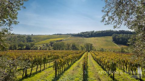 Dimora storica con cantine e tenuta di 138 ettari con vigneti e uliveto in vendita nella campagna del Chianti vicino Siena. In un contesto pittoresco nelle colline del Chianti a 420 metri sul livello del mare, un borgo medievale composto da edifici t...