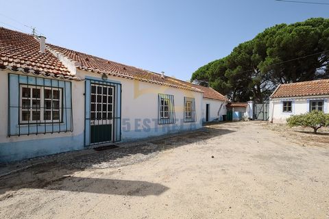 Quinta da Bela Vista - ein Bauernhof mit gemischtem Land von 1.400 m2 Stadtfläche und 31.280 m2 rustikalem Land, 40 Minuten von Lissabon entfernt! Die Quinta integriert ein rustikales Grundstück mit 3,1 Hektar, das aus einer großen Olivenbaumfarm bes...