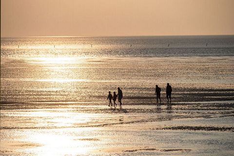 Das Ferienhaus liegt in einer ruhigen Seitenstraße nicht weit vom Strand entfernt. Die Wohnung ist gemütlich und für kleine Familien geeignet. Hat 2 Schlafplätze im Wohn- Ess- Küchenbereich, Küchenzeile, Esstisch, Sofa + ein kleines, separates Schlaf...