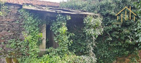 Maison en schiste et ardoise avec vue dégagée dans la vallée de São Macário Charmante maison ancienne en ruine, construite en ardoise et ardoise et vue dégagée sur les montagnes ! La propriété est desservie par une route parallèle dans un environneme...