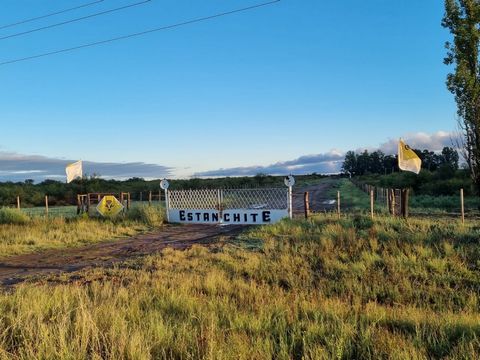 Terrain d’engraissement et ranch de 2417 hectares avec accès direct à l’autoroute et électricité en 3 phases. Le ranch est situé à Bowen, General Alvear, Mendoza sur la route nationale 188. Le prix est de 700 000 $ US avec tout l’équipement, ou de 60...