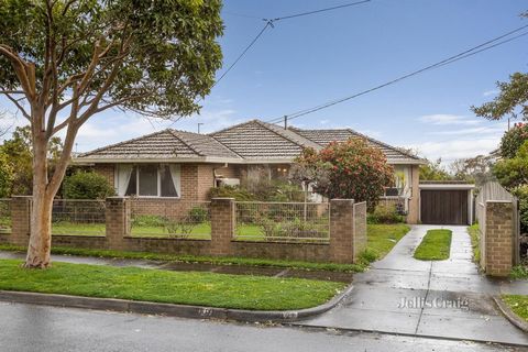 Gepositioneerd in een felbegeerde Glen Waverley-zak op 757m² (ongeveer), belichaamt deze gezinswoning met 4 slaapkamers en 2 badkamers comfort voor vandaag of lucratieve huurmogelijkheden, samen met eindeloos potentieel voor de toekomst. Netjes onder...