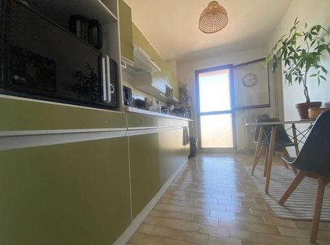 photo no. 2