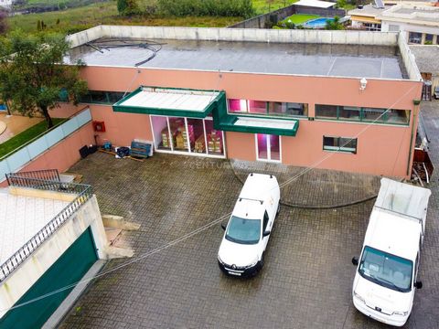 Mixed Property with Warehouse, Commercial Shop, and Housing Warehouse: Area: 241m² Ceiling Height: Approximately 7 meters Mezzanine designed for office/meeting room Spacious area with storage zone Commercial Shop and Garages: Total Area: 161m² Featur...