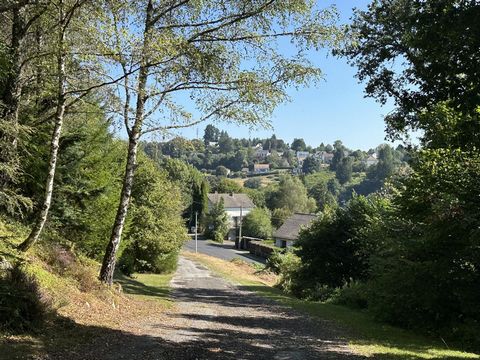 photo no. 8