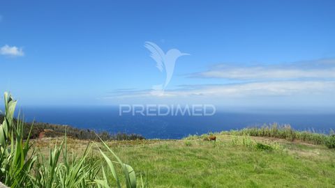 VENTE VILLA DE 4 CHAMBRES À PONTA DO PARGO VUE DÉFINITIVE SUR LA MER Je vends une villa de 4 chambres minimalement habitable nécessitant des améliorations à Ponta do Pargo près du point de vue de la chapelle de Nossa Senhora da Boa Morte dans un endr...