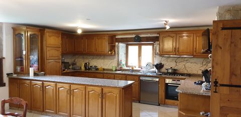photo no. 12
