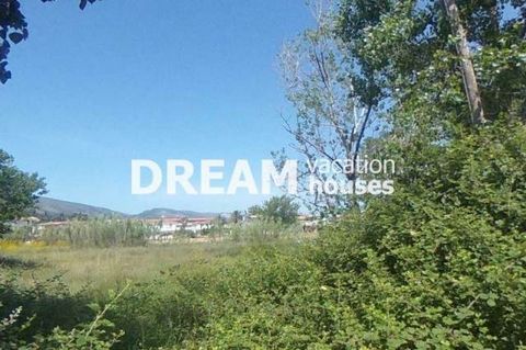 Description En vente Terrain, Laganas, 1.516 m2, Dans lot/avec jardin 1515,83 m2, Caractéristiques: Constructible, Total des pièces: 0,8, Prix: 170.000€ Description detaillée Terrain à Laganas, Zakynthos, avec une surface totale de 1 515,83 m². Son p...