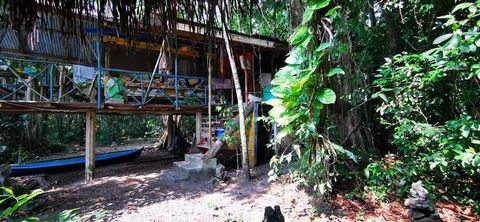 Silence et nature sur la rivière Lampara Ce petit paradis est situé sur le Rio Lampara, Livingston, Izabal. Le terrain a été acheté par le propriétaire comme pâturage et reboisé. Aujourd’hui, vous trouverez de nombreux arbres et plantes tropicales ai...