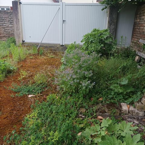 photo no. 2