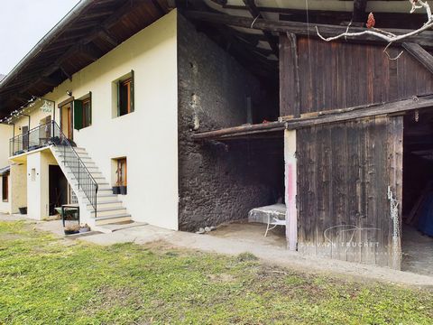 photo no. 7