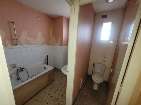 photo no. 12