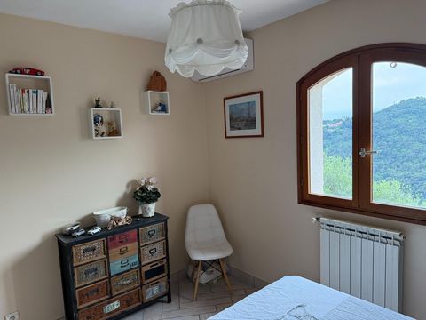 photo no. 7