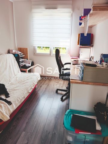 photo no. 8