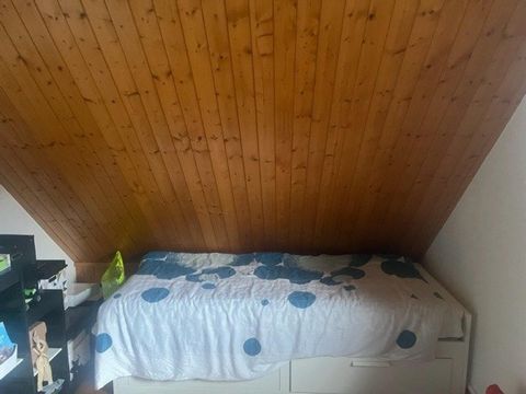 photo no. 13