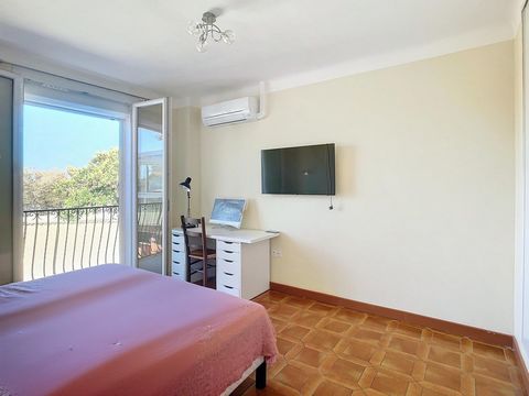 photo no. 10