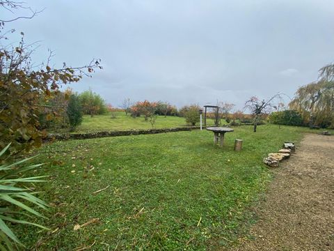 photo no. 13