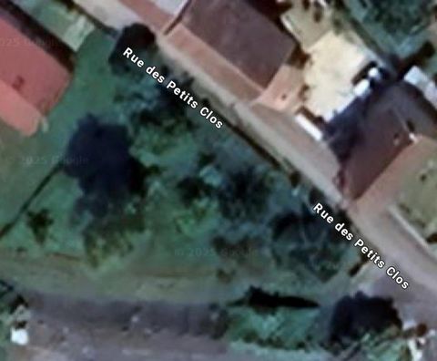 photo no. 6
