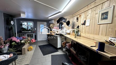 photo no. 11