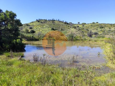 Rustic Land Champana, Corte António Martins This 37,700m2 plot of land with access via a dirt road is located near Corte António Martins, in the Conceição de Tavira mountains. Very fertile land with a pond. Book your visit now. ----------------------...