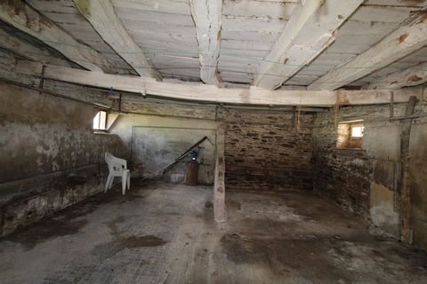 photo no. 9