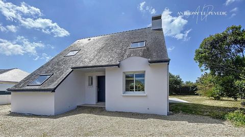 photo no. 14