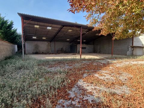 photo no. 16