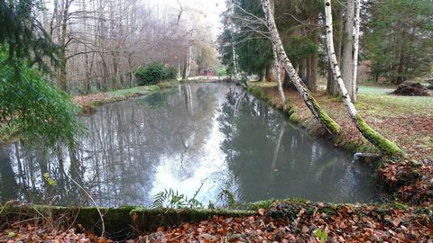 photo no. 11