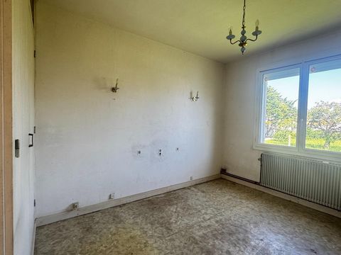 photo no. 12