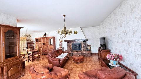 photo no. 3