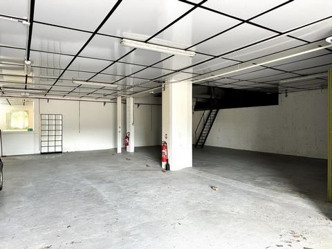 photo no. 6