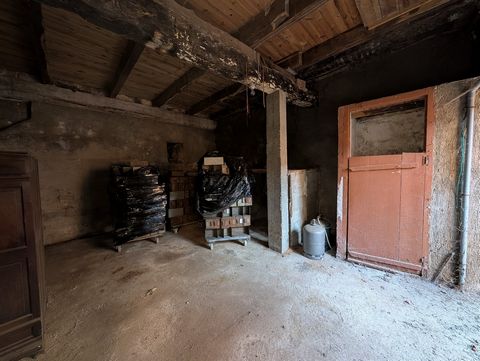 photo no. 13