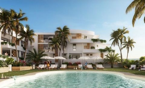 A VENDRE Appartement T2 en R+1 à Sainte-Anne