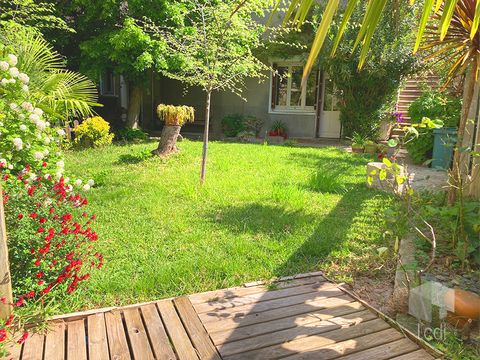 photo no. 14