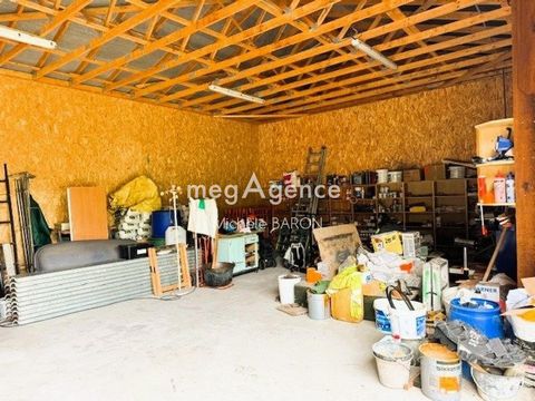photo no. 5