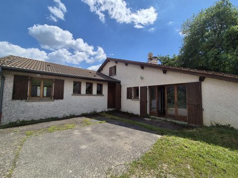 photo no. 16