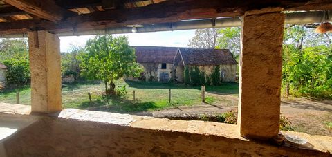 photo no. 15