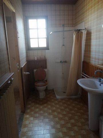 photo no. 11
