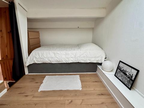 photo no. 6