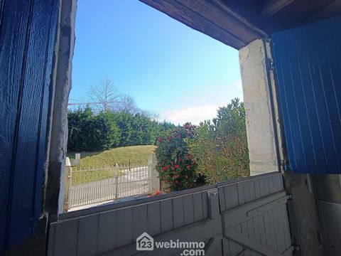 photo no. 13