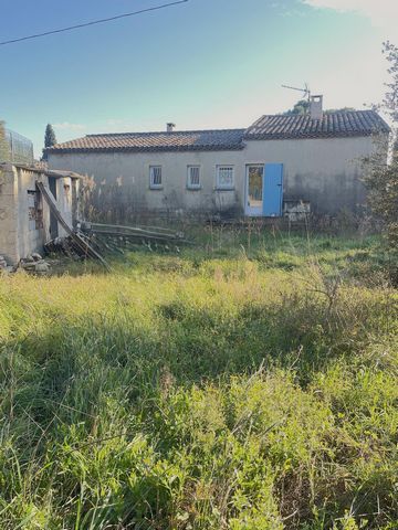 photo no. 4