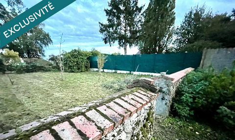 photo no. 6