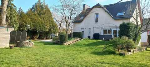 photo no. 8