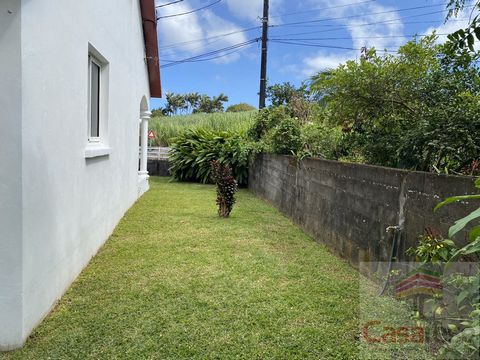 photo no. 2