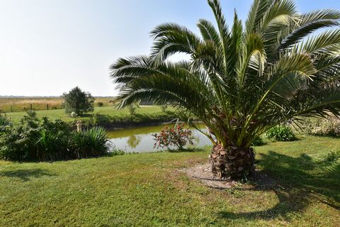 photo no. 1