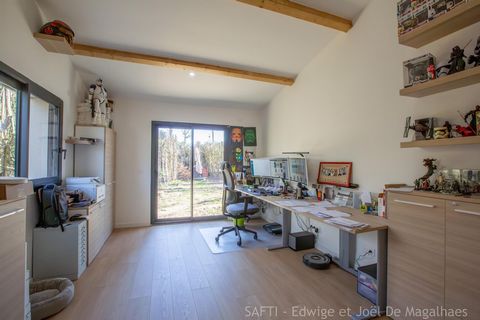 photo no. 11