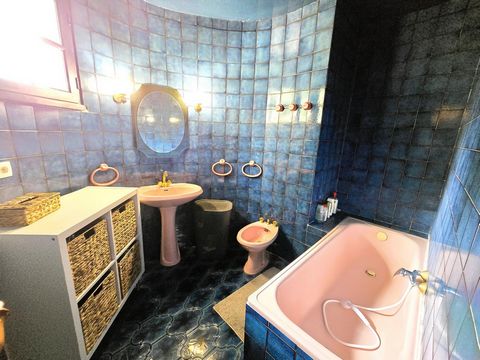 photo no. 4