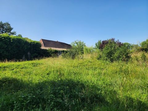 photo no. 2