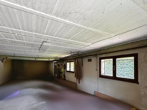 photo no. 13
