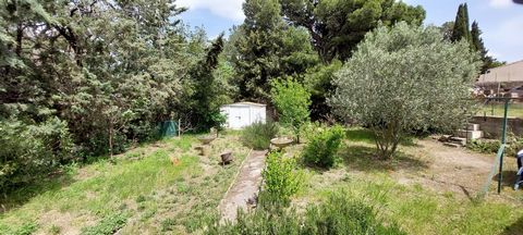 photo no. 15